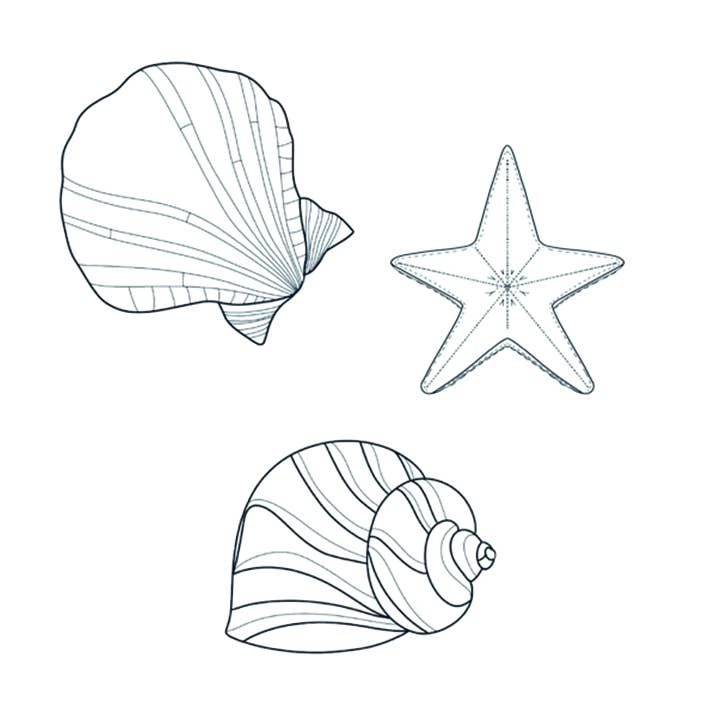 Coquille
