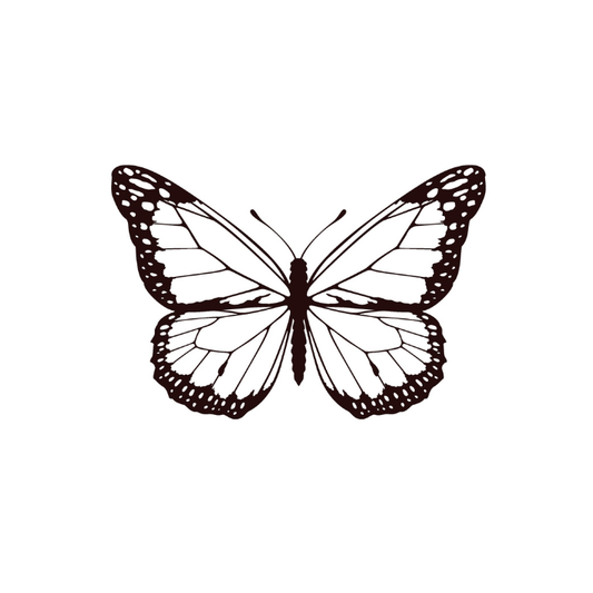 Papillon nocturne x5
