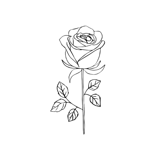 Rose noire x5